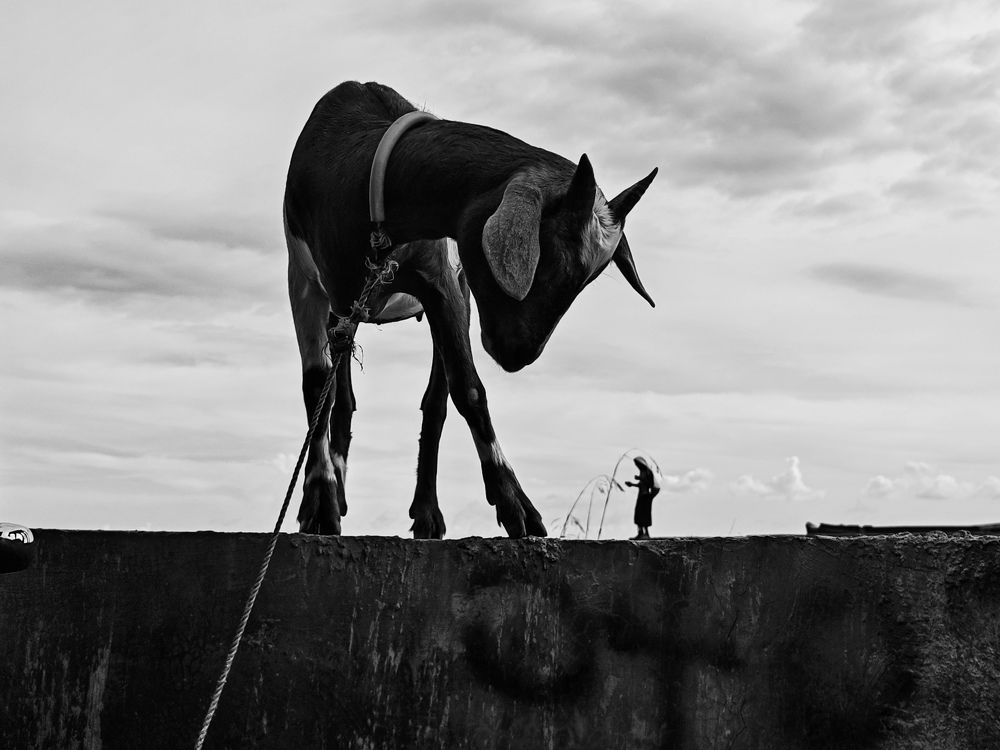 Фотография автора Melvin Anore