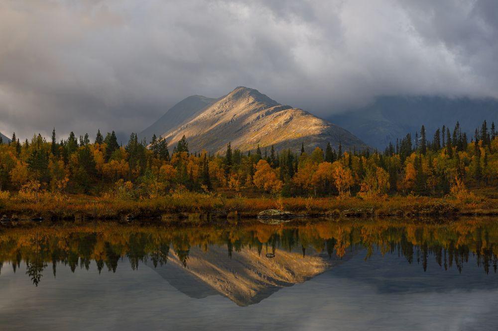 Photograph by Мария Казакова