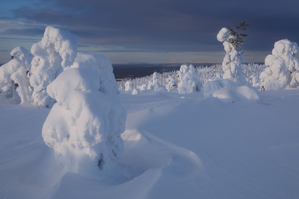 Photograph by Мария Казакова