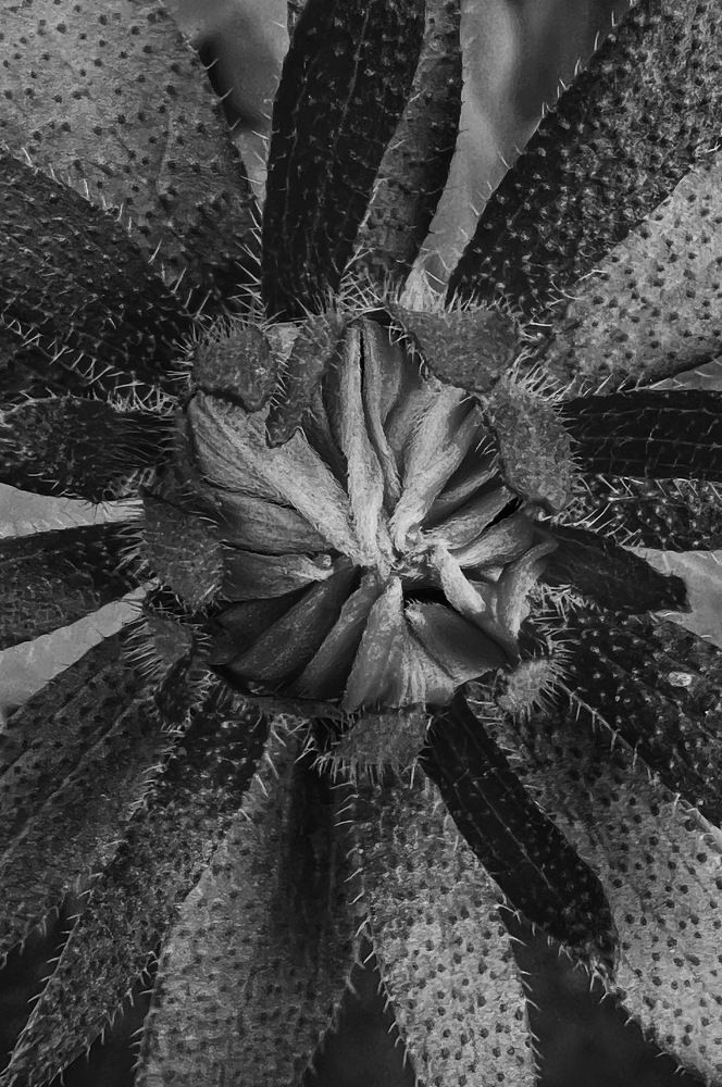 Photograph by Oxana Petlina