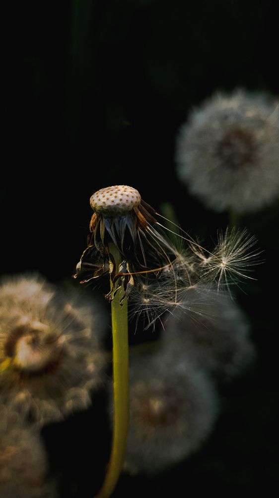 Photograph by Oxana Petlina