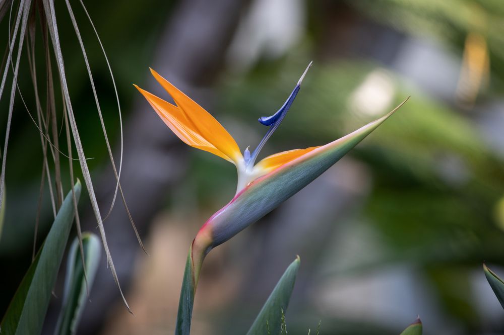 Photograph by Vitaly Lapin