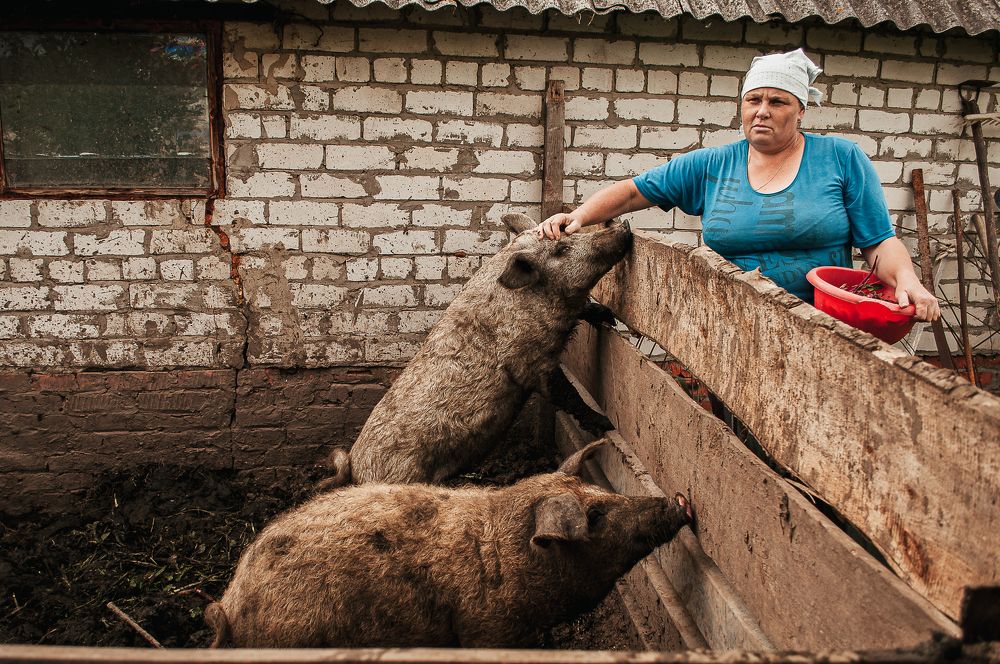 Photograph by Татьяна Зубехина