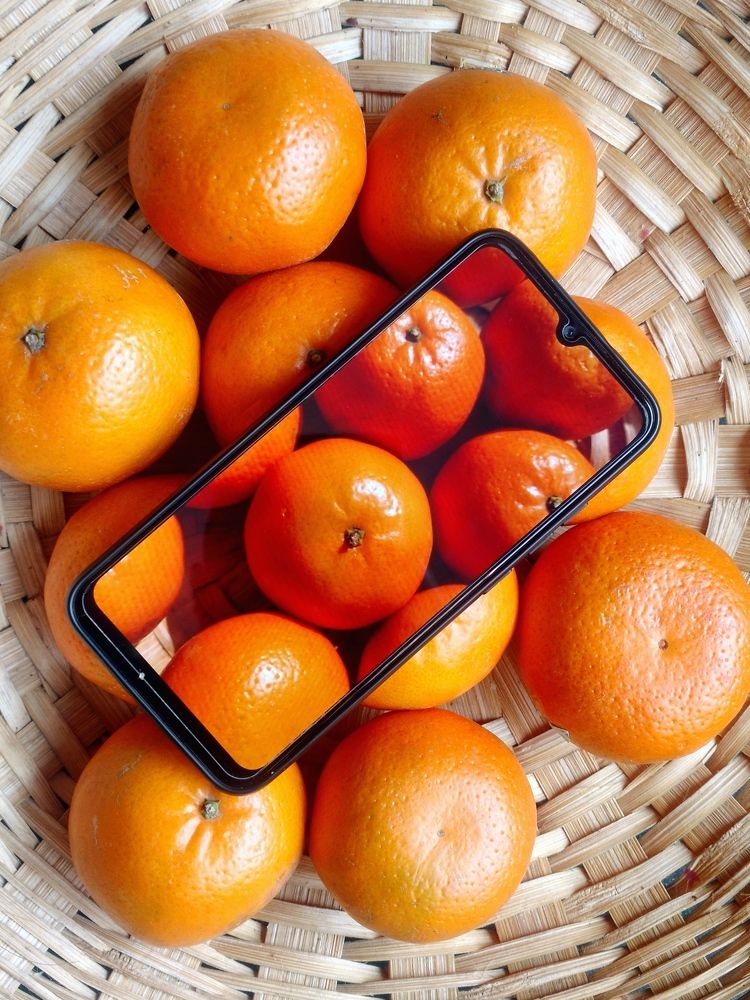 Фотография автора Rohitdadhwal