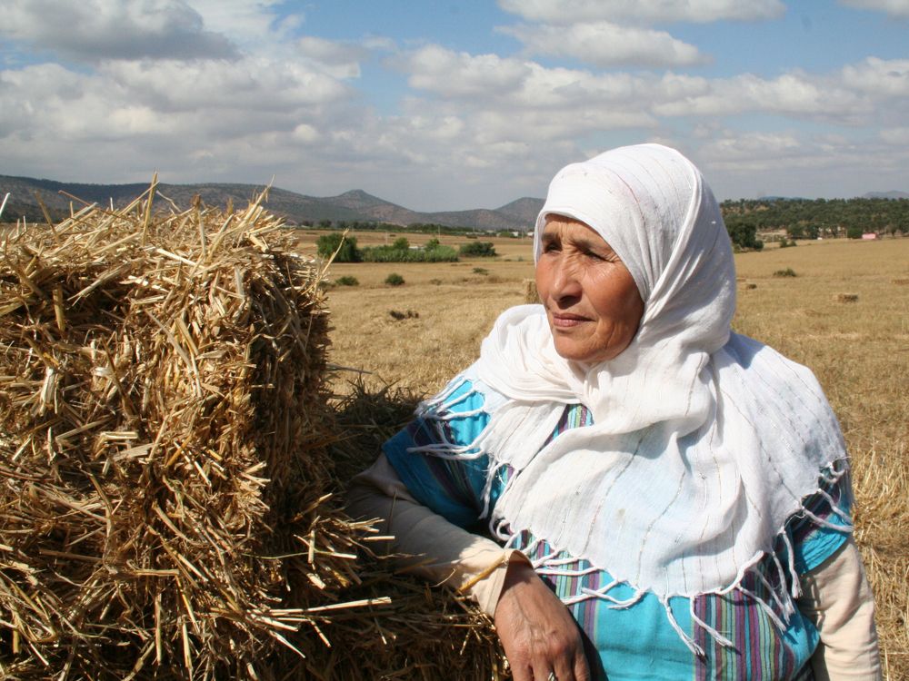 Photograph by Aqeil Salih