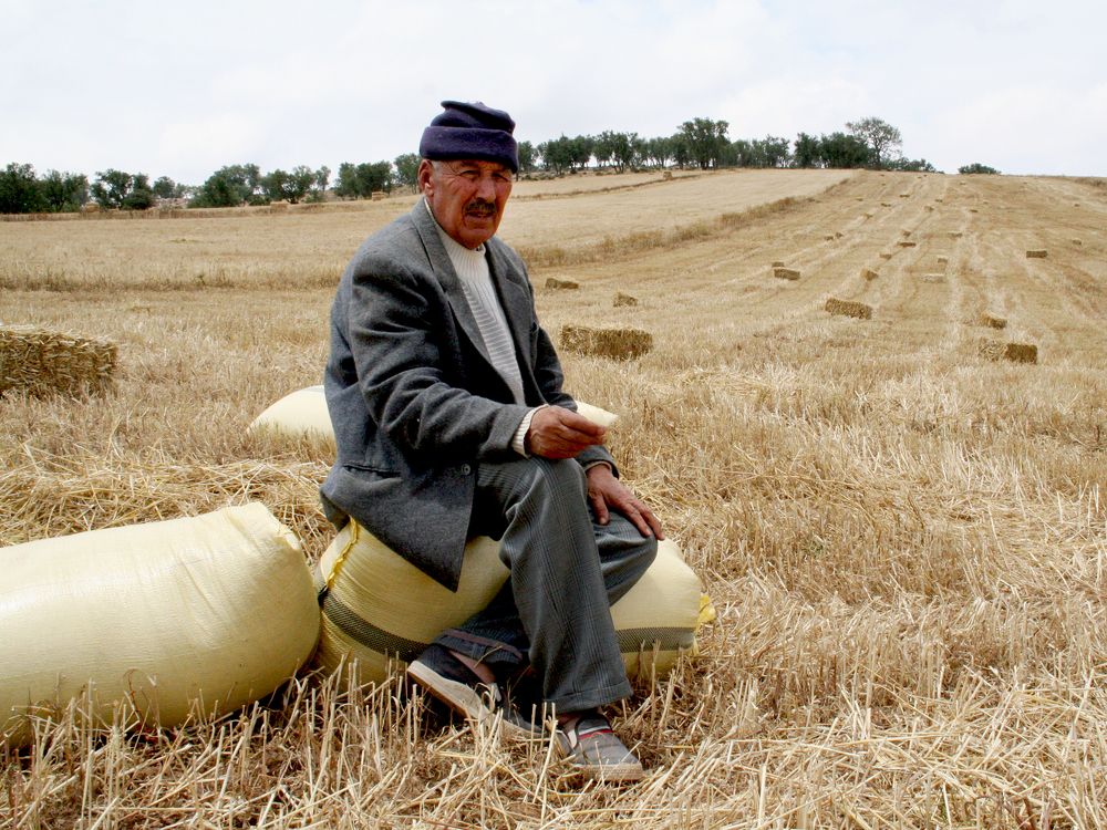 Photograph by Aqeil Salih