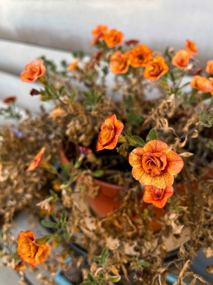 Photograph by Наталья Простова