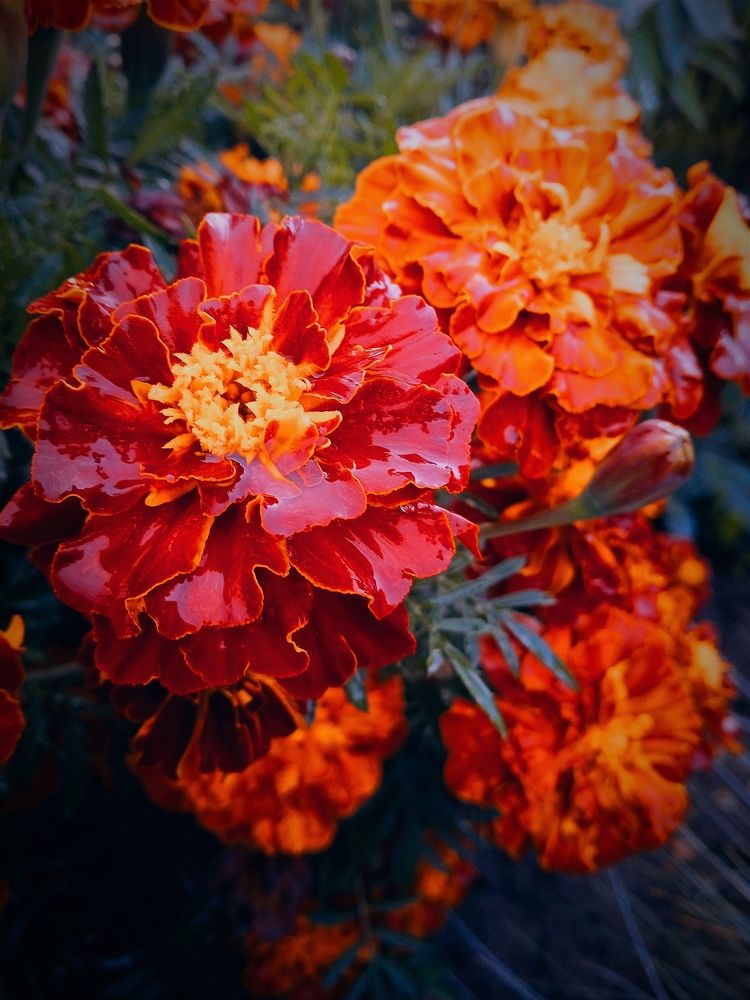 Photograph by Нина Мехнина