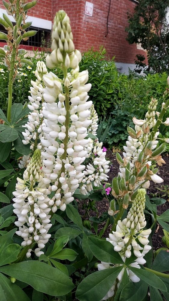 Фотография автора Евгения Зайцева