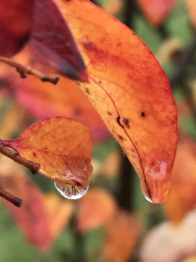 Photograph by Татьяна Шибанова