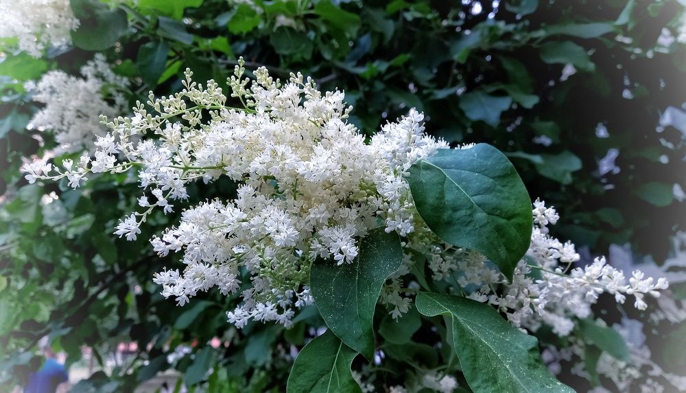 Фотография автора Евгения Зайцева