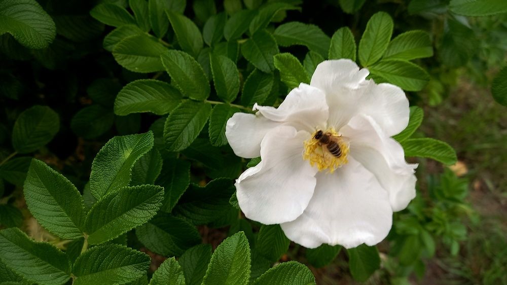 Фотография автора Евгения Зайцева