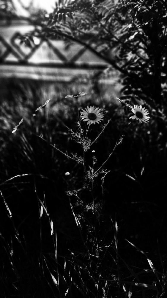 Фотография автора Евгения Зайцева