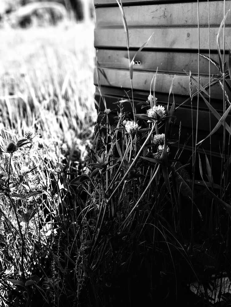 Фотография автора Евгения Зайцева