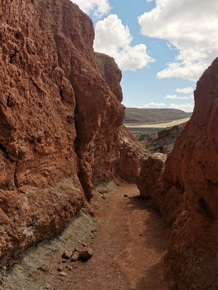 Фотография автора Закурина Маргарита