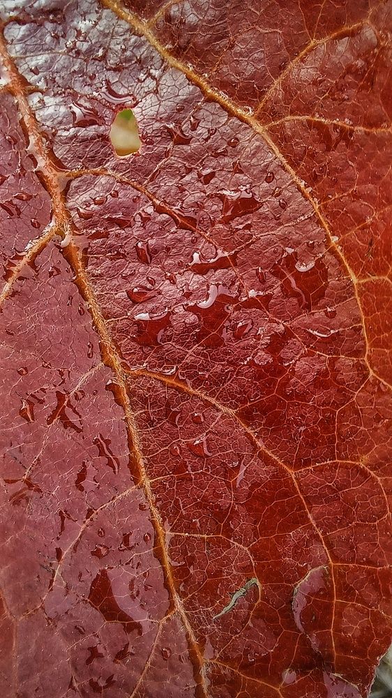 Фотография автора Евгения Зайцева