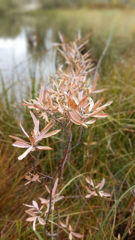 Фотография автора Евгения Зайцева