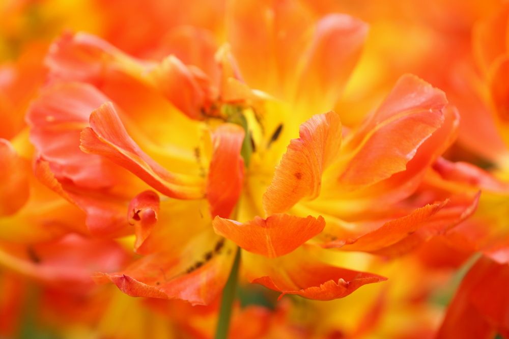 Photograph by Унку Юрий