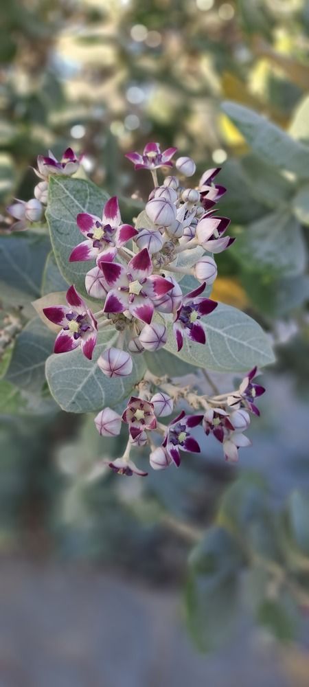 Photograph by mahboube moradalizade