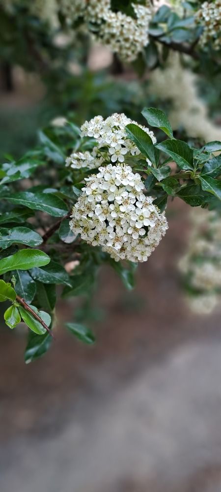 Photograph by mahboube moradalizade