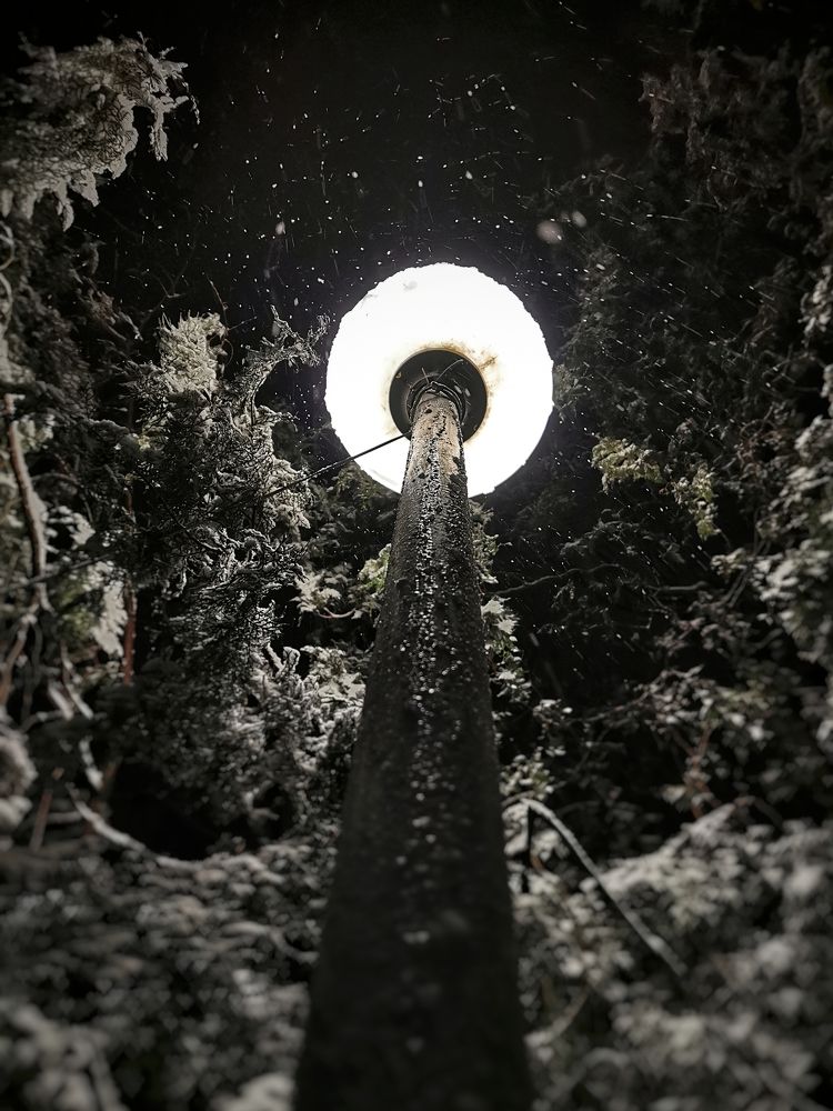 Photograph by Оксана Маракушина