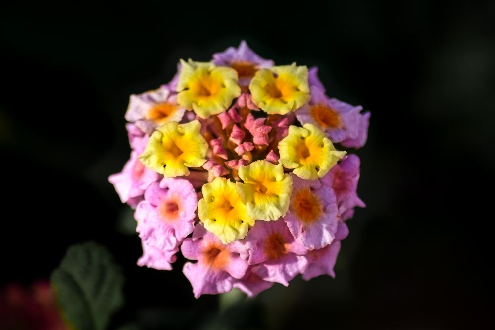 Photograph by Bachir Rabouh