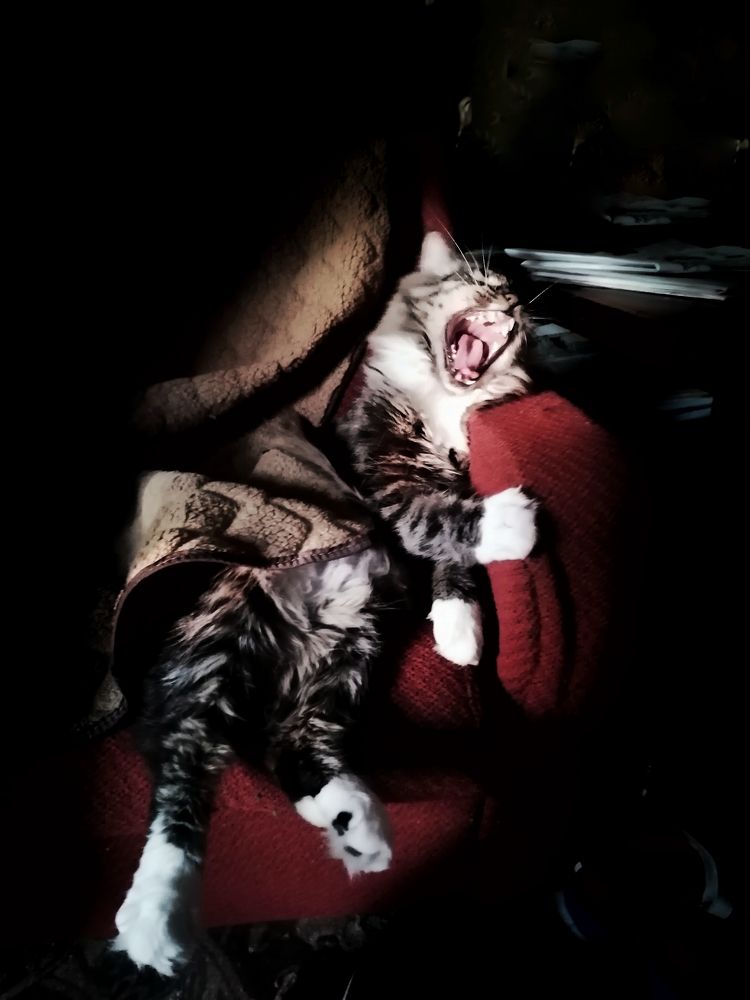 Photograph by Анастасия