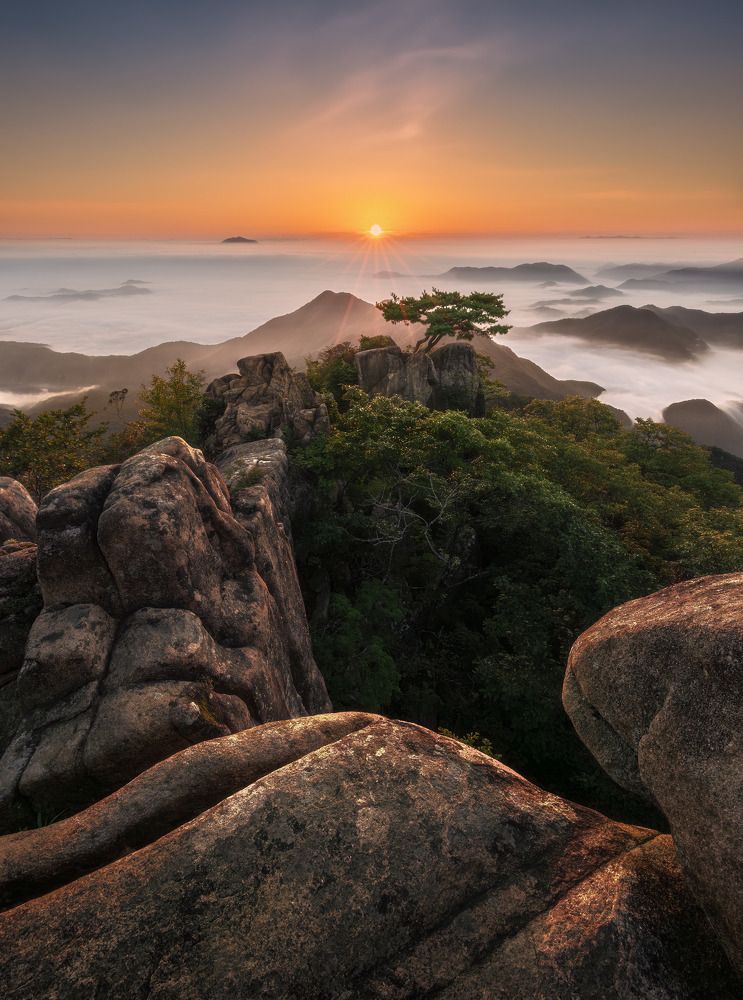 Фотография автора NGUYEN NGOC SON