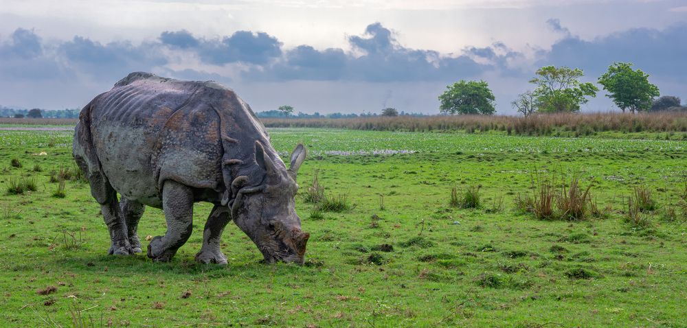 Photograph by Madhurya Mozumder