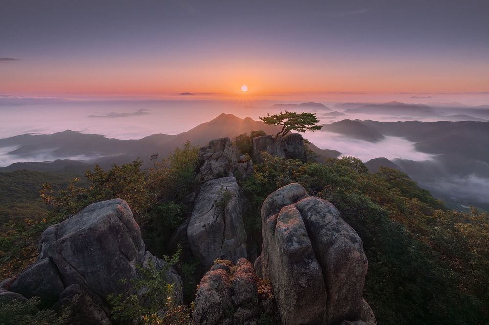 Lonely pine tree on top of Daedunsan mountain