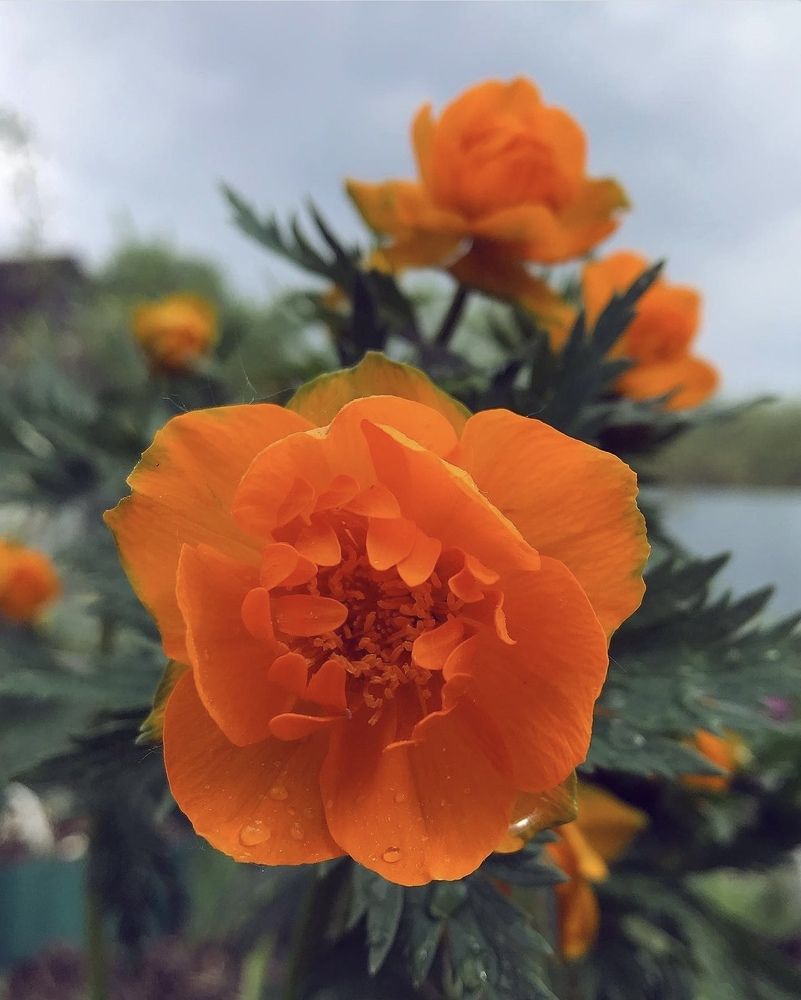 Photograph by Татьяна Волохова