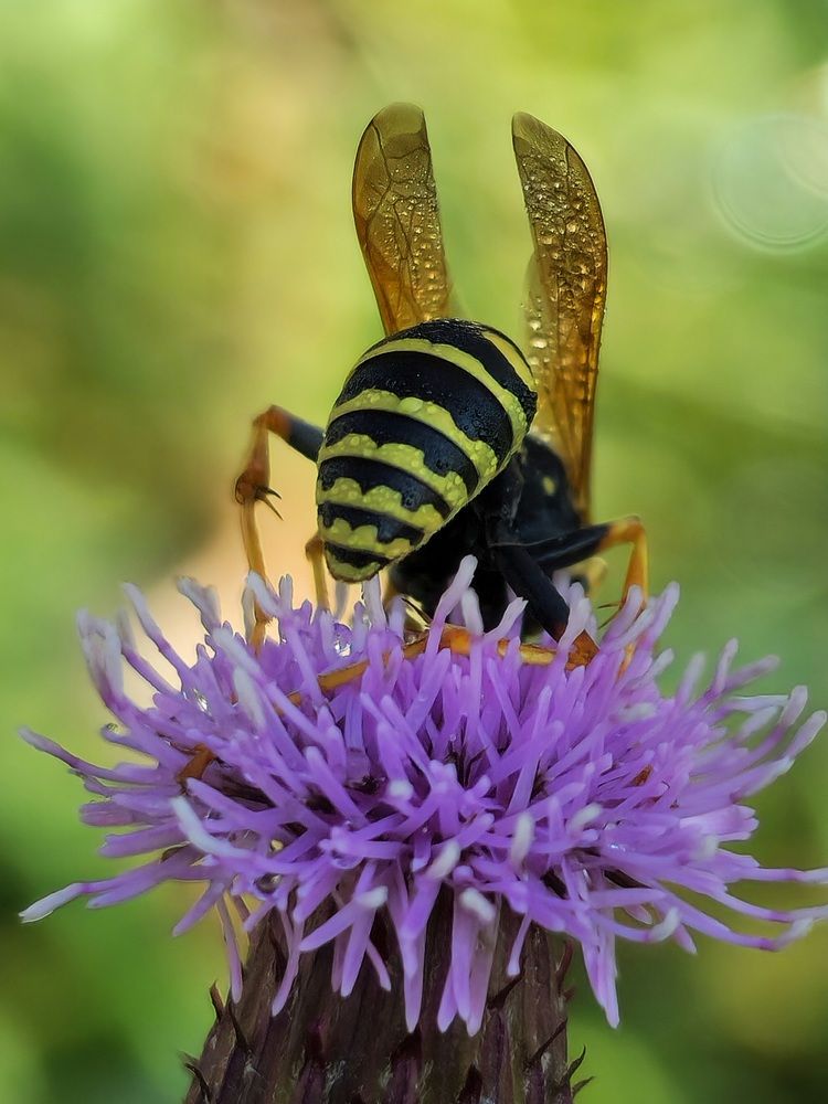 Фотография автора Ольга