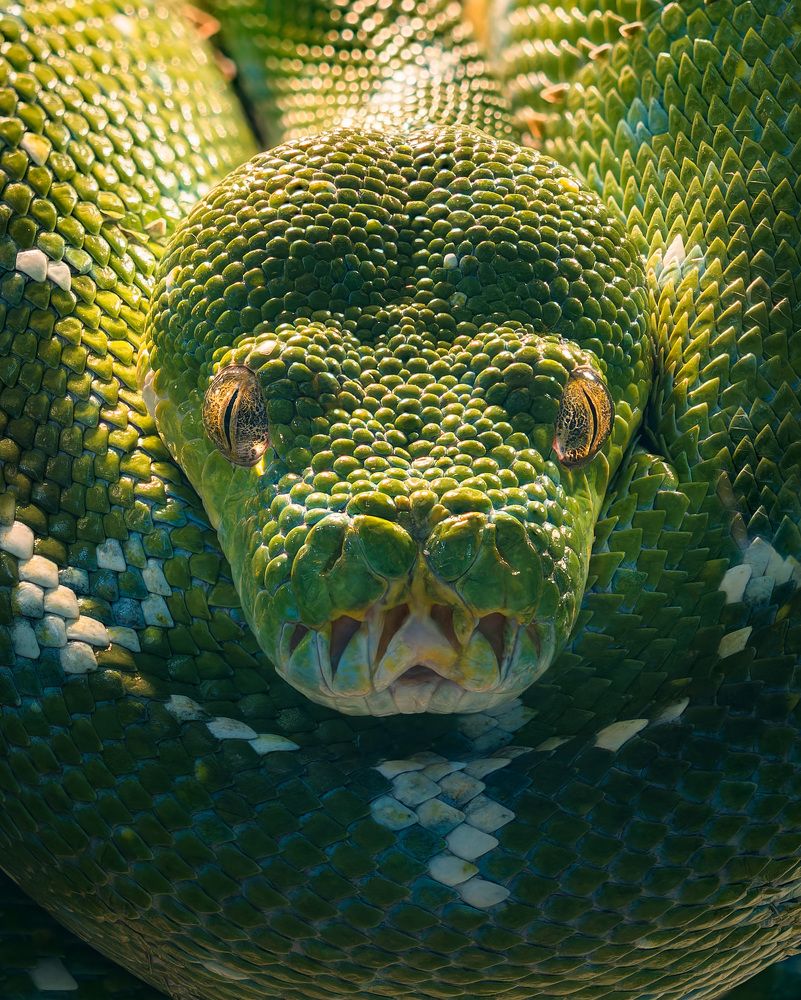 Photograph by Алексей Зайцев