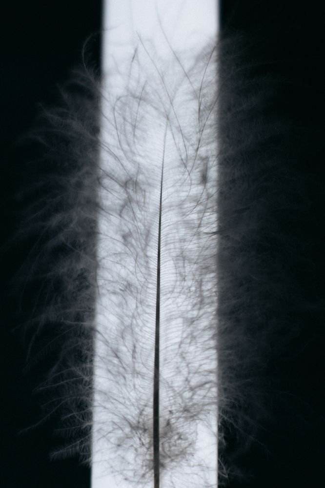 Photograph by Гюзель Даугуль