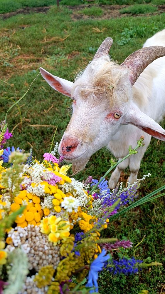 Букетик для Яшки