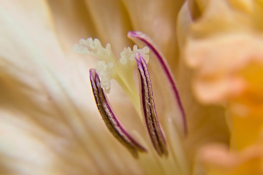 Фотография автора Юлия Кранина