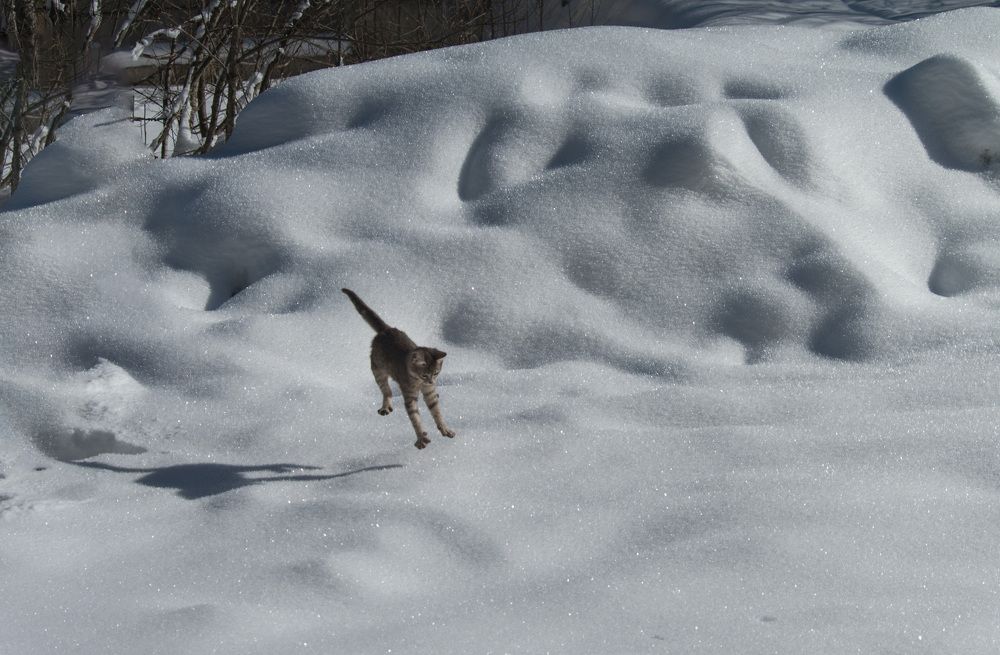 Photograph by Римма Волченко