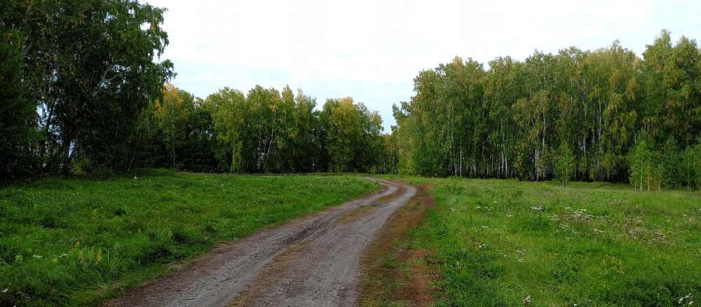 Photo #9547835