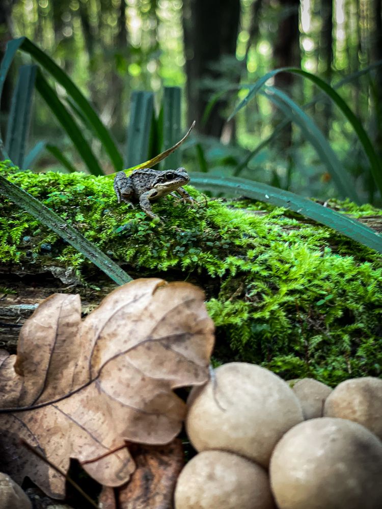 Photograph by Олеся Лагутина