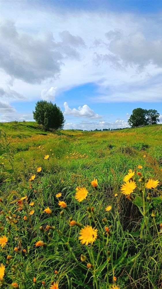 Красота родного края
