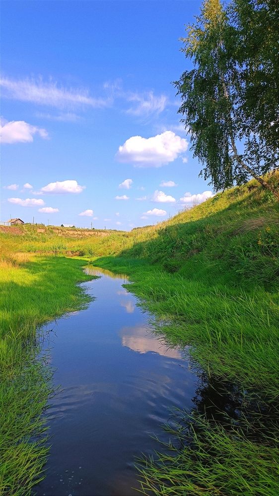 У реки ч летний день