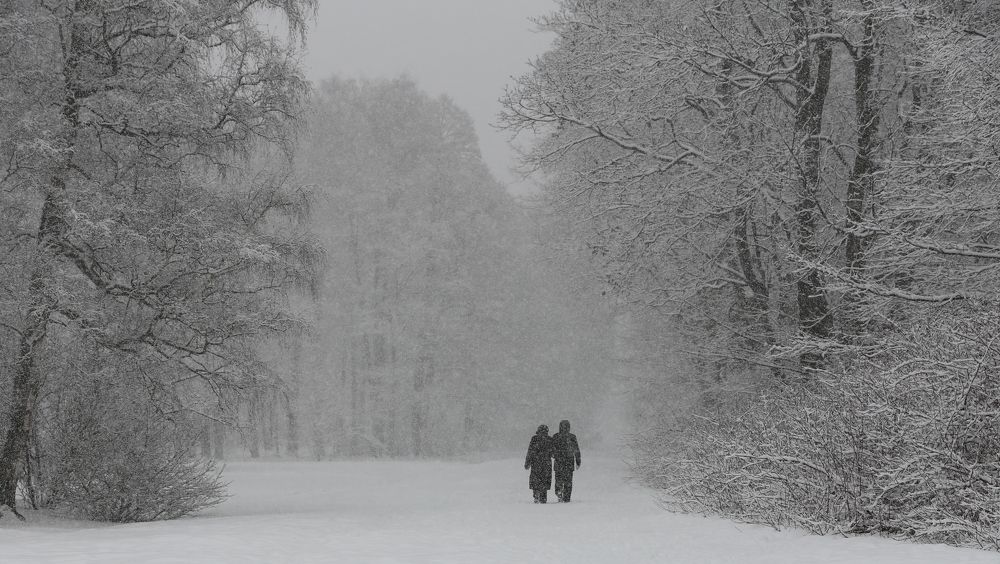 Photograph by Унку Юрий