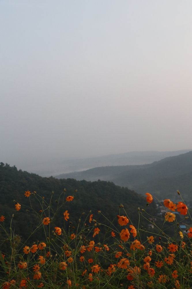 Photograph by Abhishek Biradar
