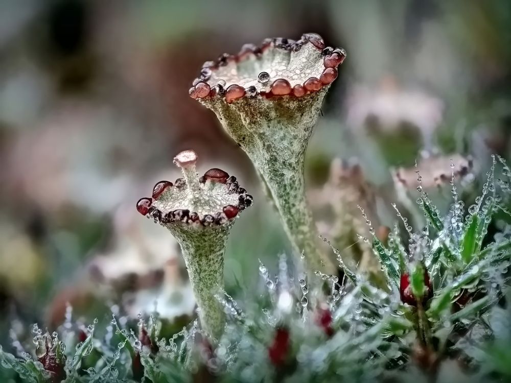 Photograph by Дмитрий Кузнецов