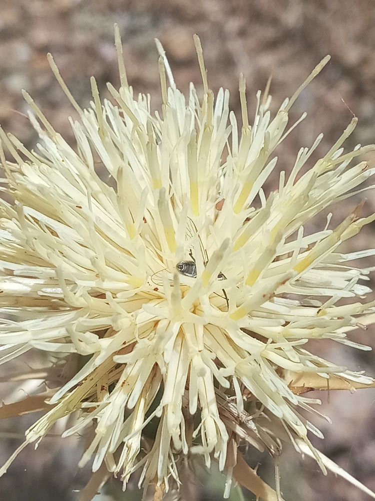 Photograph by Rahim Rahimi