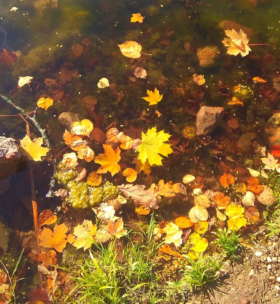 Photograph by Татьяна Кунц