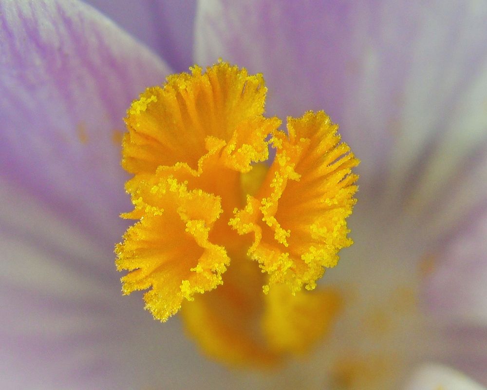 Photograph by Константин Мишнаевский