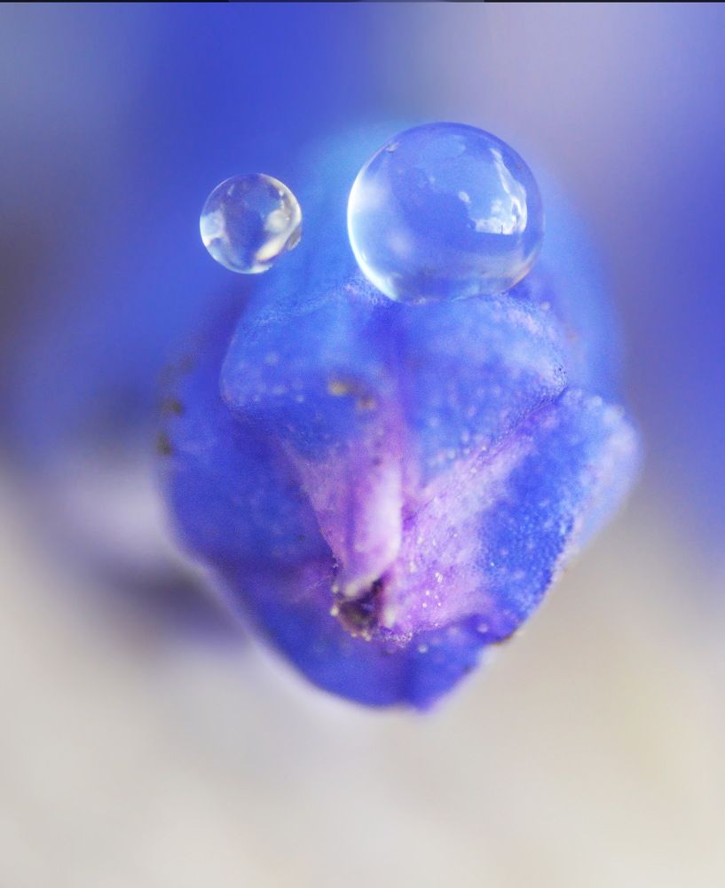 Photograph by Константин Мишнаевский