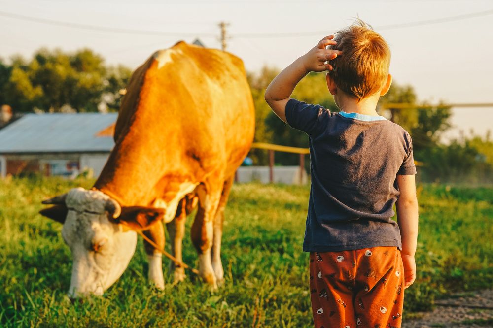 Photograph by Виктория Лаур