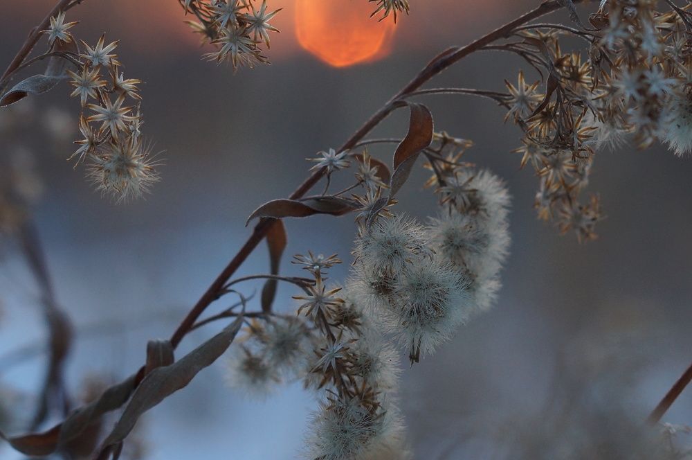 Photograph by Ольга